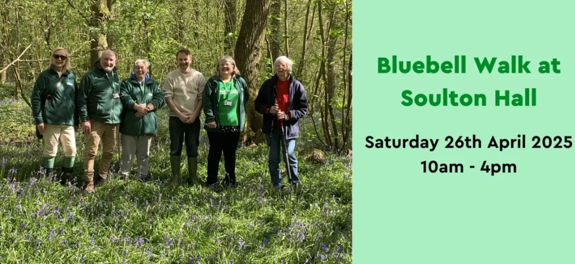 Bluebell Walk through the "As You Like It" Wood